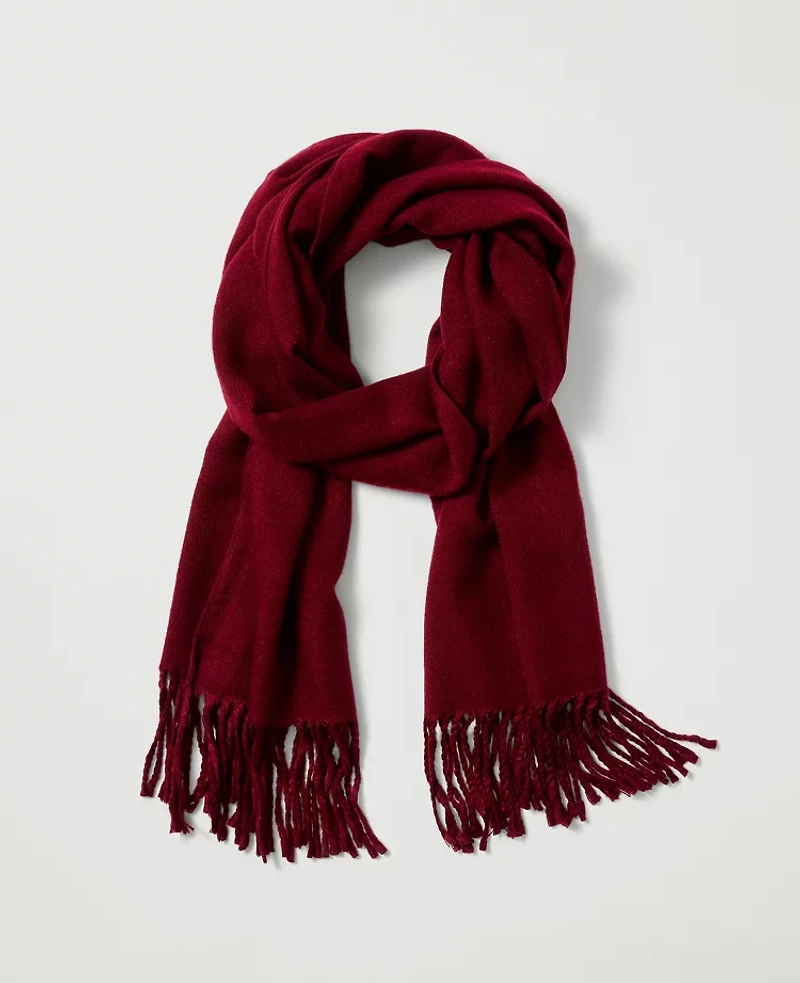 Ann Taylor Weekend Collection Fringe Scarf Women's