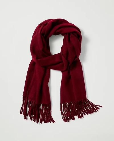 Ann Taylor Weekend Collection Fringe Scarf Women's