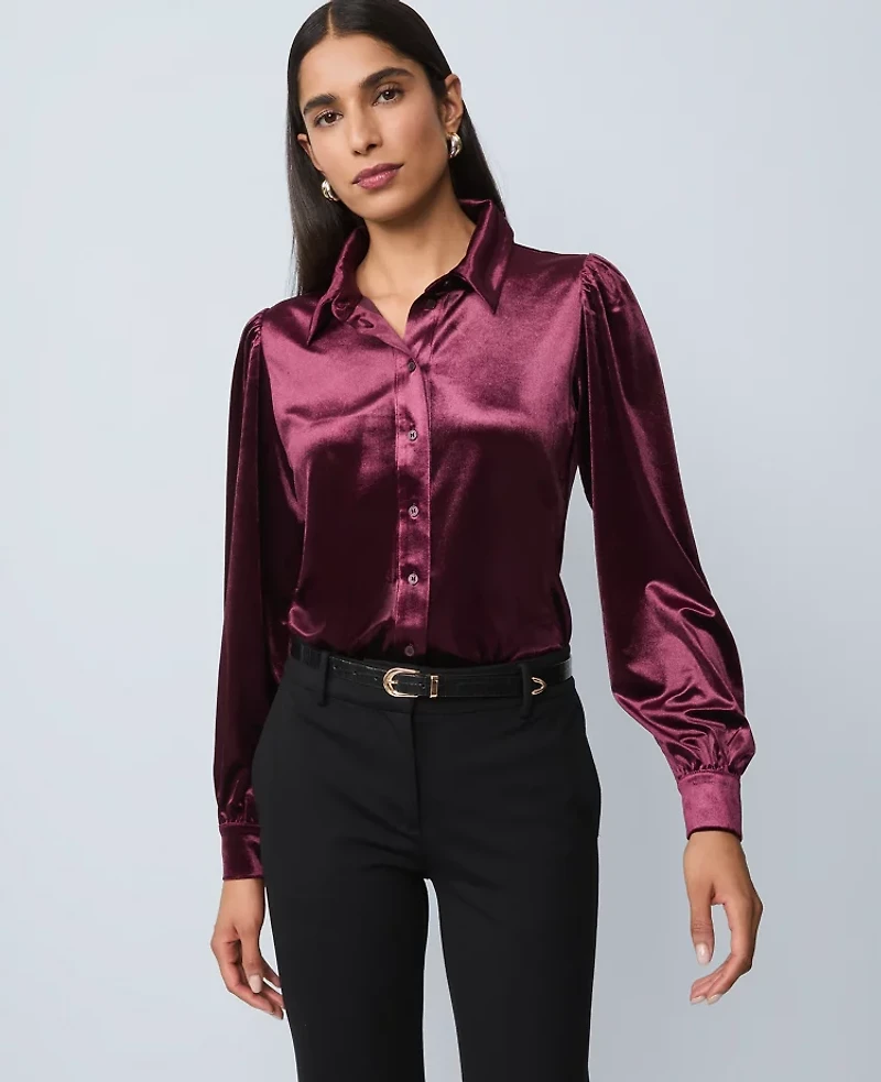 Ann Taylor Petite Velvet Button Down Shirt Poised Plum Women's