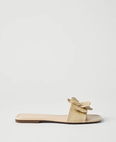 Ann Taylor Straw Flower Embellished Sandal Natural Women's
