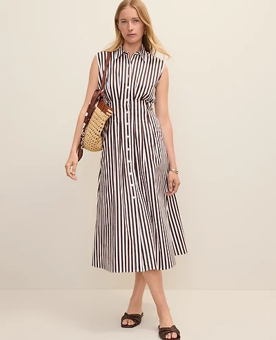 Ann Taylor Weekend Striped Pleated Midi Shirtdress Rich Walnut Women's