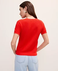 Ann Taylor Petite Pointelle Modern Sweater T-Shirt Aperol Women's