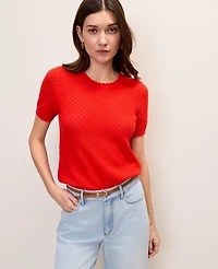 Ann Taylor Petite Pointelle Modern Sweater T-Shirt Aperol Women's
