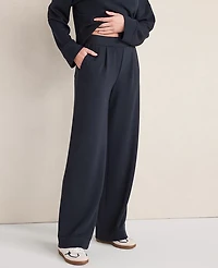 Ann Taylor Haven Well Within Soft Knit Wide Leg Pleated Pants Nightfall Blue Women's