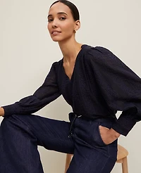 Ann Taylor Petite Embroidered V-Neck Popover Top Women's