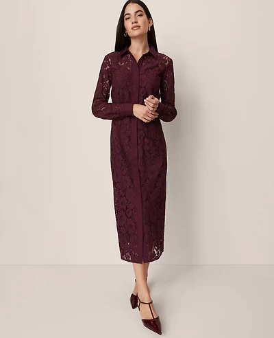 Ann Taylor Belted Lace Midi Shirtdress Poised Plum Women's