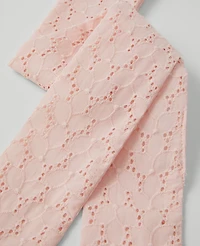 Ann Taylor Eyelet Skinny Scarf Potpourri Women's