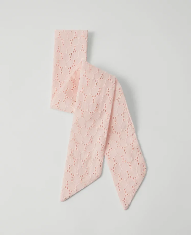 Ann Taylor Eyelet Skinny Scarf Potpourri Women's