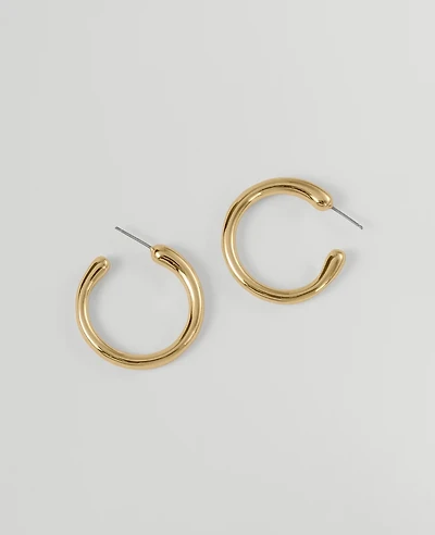 Ann Taylor Thin Hoop Earrings Women's