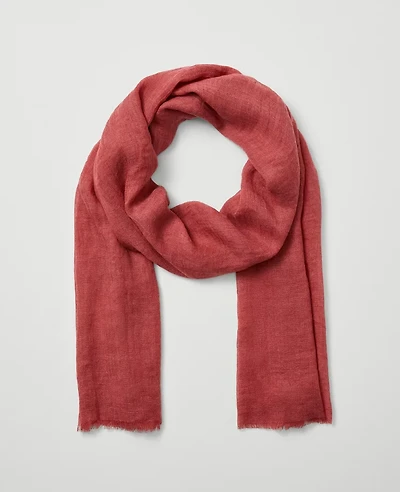 Ann Taylor Fringe Scarf Women's