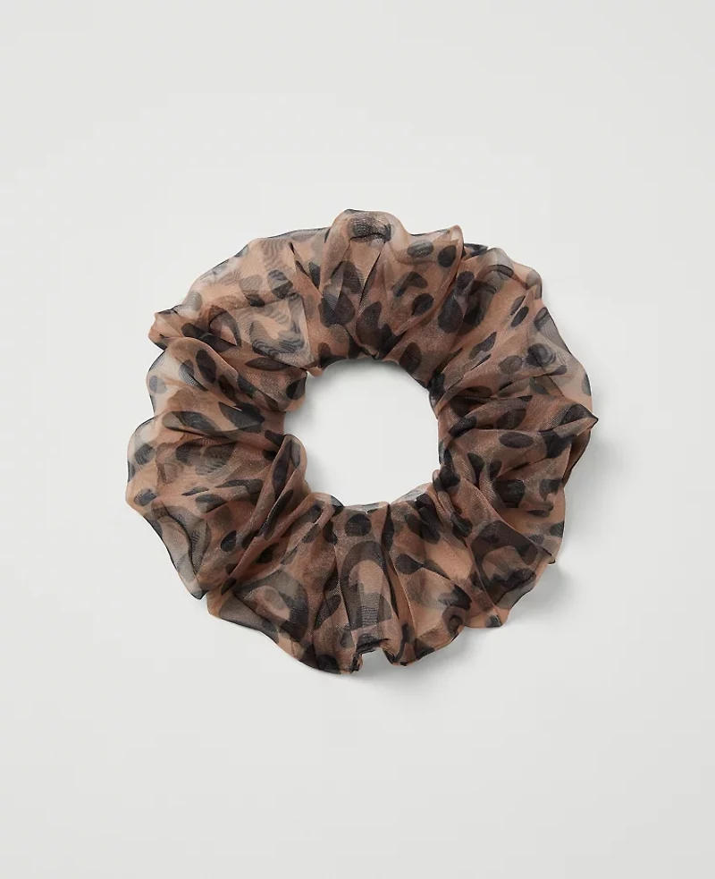 Ann Taylor Cheetah Scrunchie Brown Multi Women's