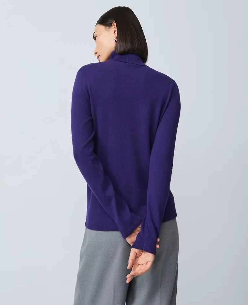 Ann Taylor Essential Turtleneck Sweater Women's