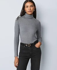 Ann Taylor Weekend Collection Turtleneck Top Heather Women's