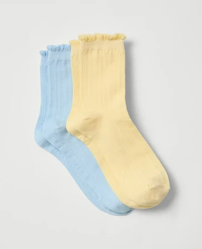 Ann Taylor Pointelle Sock Set Sun Soaked Women's