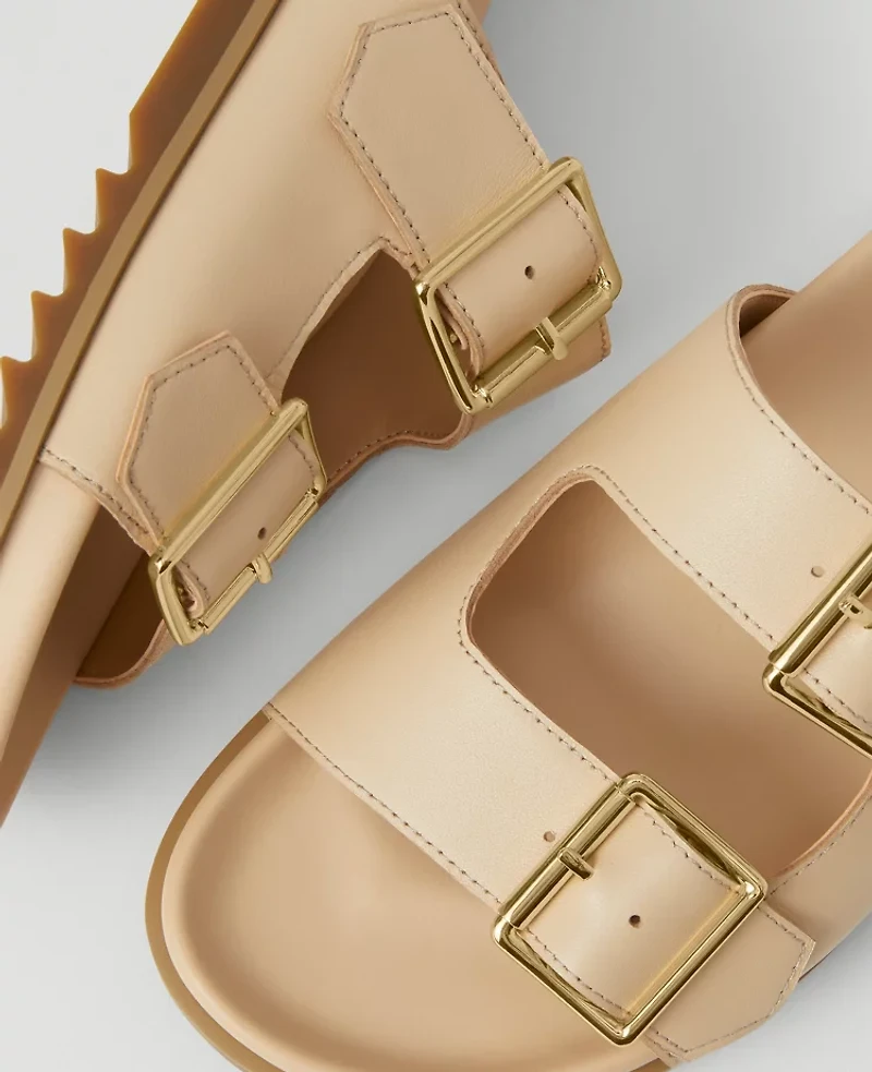 Ann Taylor Weekend Collection Double Buckle Leather Sport Sandals Sands Edge Women's
