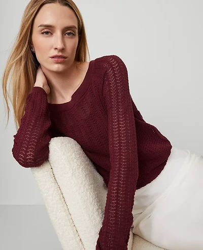 Ann Taylor Petite Pointelle Boatneck Sweater Windsor Wine Women's