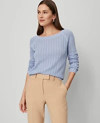 Ann Taylor Petite Pointelle Boatneck Sweater Women's