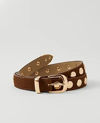 Ann Taylor Suede Studded Belt Spice Brown Women's