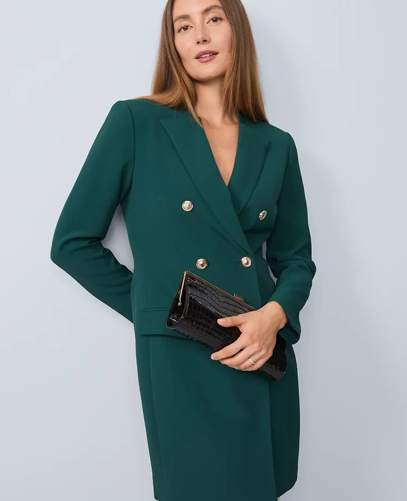 Ann Taylor Double Breasted Blazer Dress Ponderosa Pine Women's