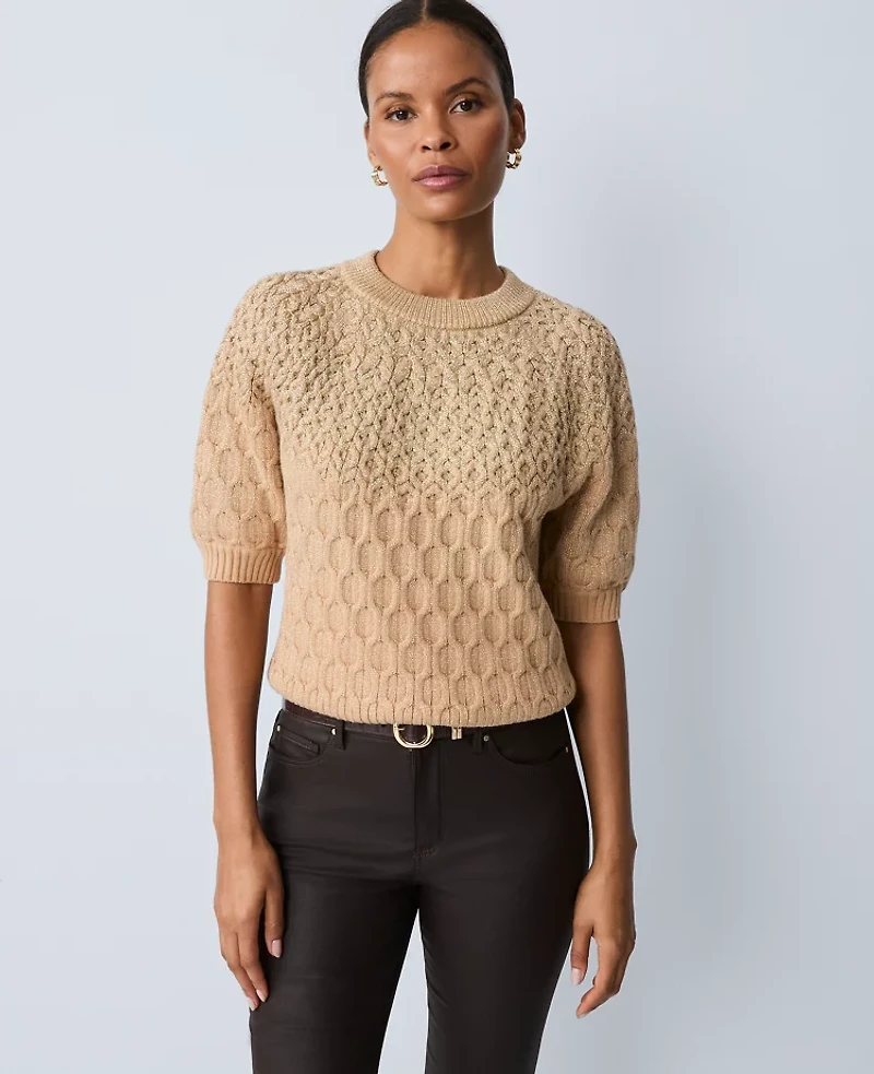 Ann Taylor Shimmer Cable Sweater T-Shirt Women's