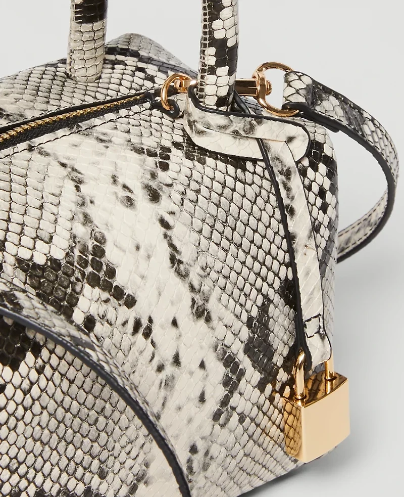 Ann Taylor Snake Print Mini Crossbody Bag Black Women's