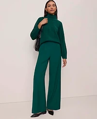 Ann Taylor Contrast Stitch Turtleneck Sweater Women's