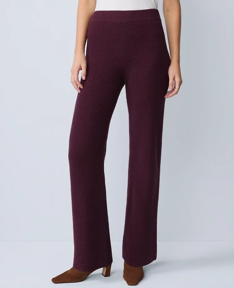 Ann Taylor Weekend Collection Waffle Sweater Pant Poised Plum Women's