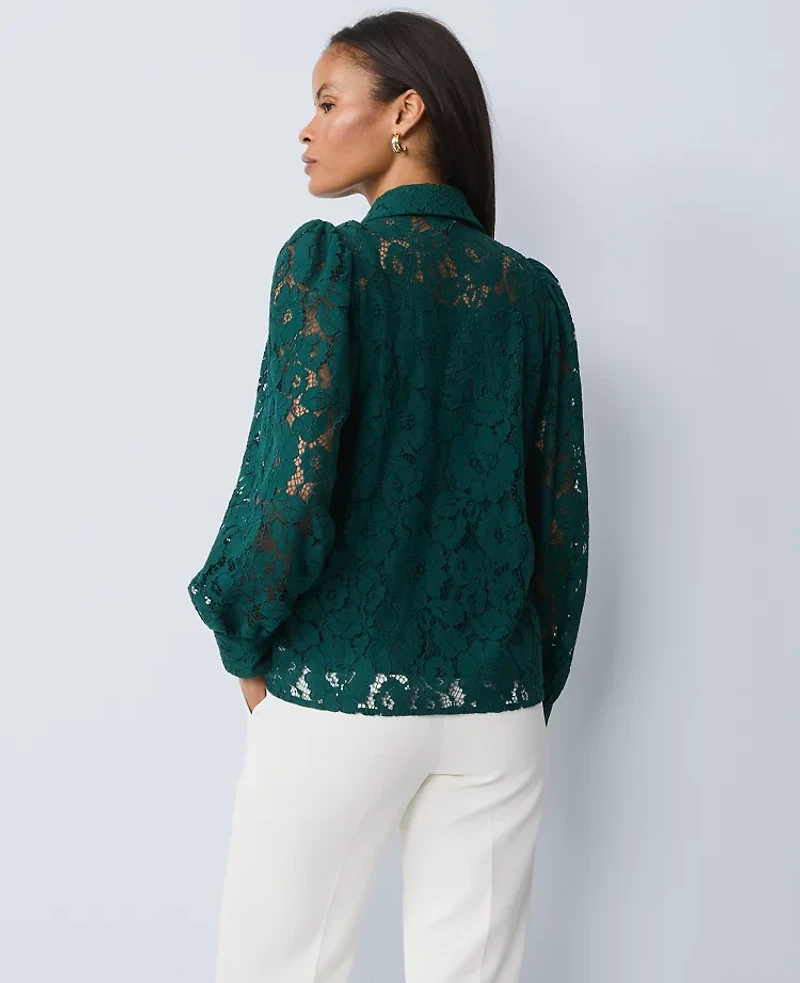 Ann Taylor Lace Blouse Ponderosa Pine Women's