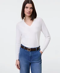 Ann Taylor V-Neck Sweater Women's