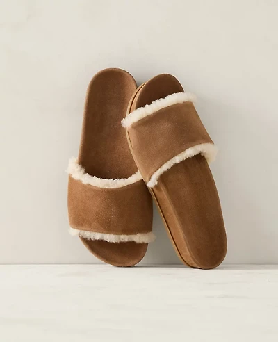 Ann Taylor Haven Well Within Suede and Sherpa Molded Slide Sand Dune Women's