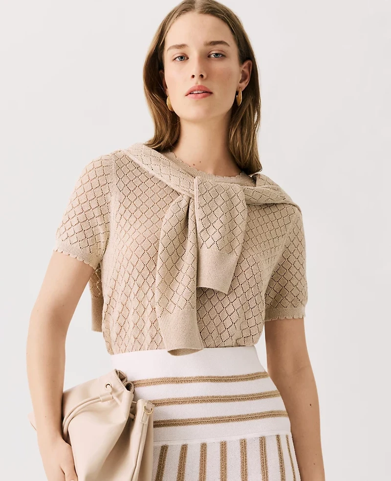 Ann Taylor Shimmer Pointelle Modern Sweater T-Shirt Sail Cloth Women's