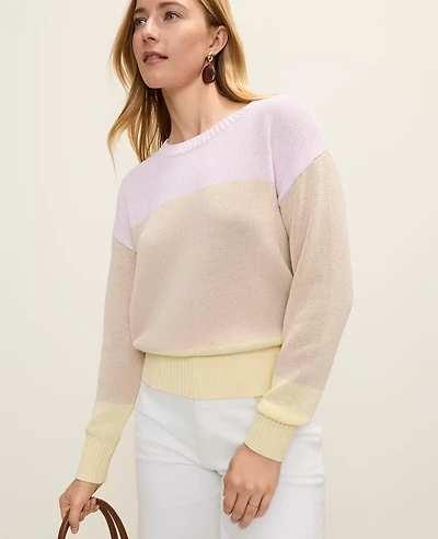 Ann Taylor Colorblock Crew Neck Sweater Women's