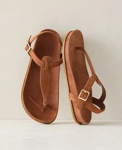 Ann Taylor Haven Well Within Suede Thong Sandals Women's