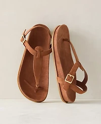 Ann Taylor Haven Well Within Suede Thong Sandals Women's