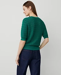 Ann Taylor Wavy Stitch Wedge Sweater Shady Glade Women's