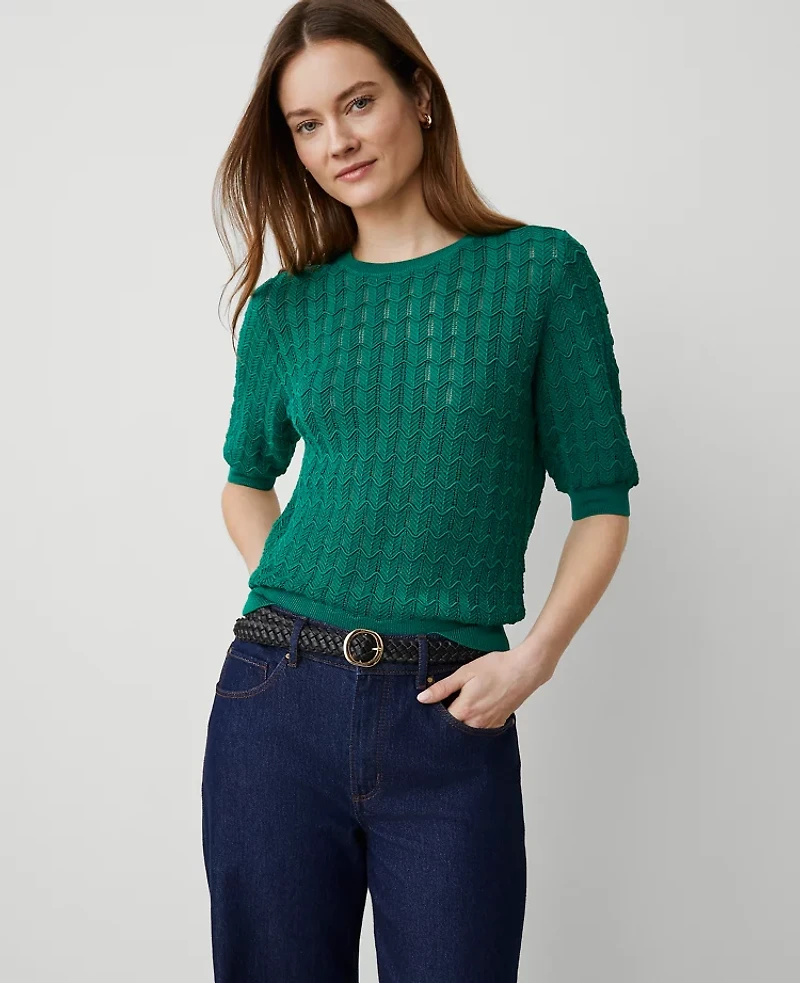 Ann Taylor Wavy Stitch Wedge Sweater Shady Glade Women's