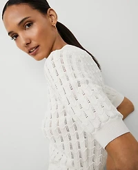 Ann Taylor Wavy Stitch Wedge Sweater Women's