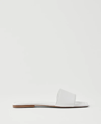 Ann Taylor Leather Single Strap Slide Sandals White Women's