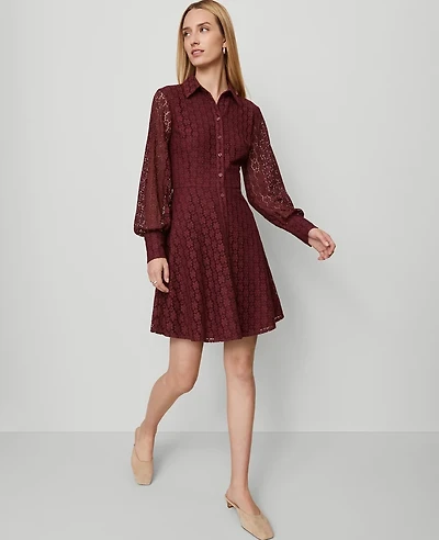 Ann Taylor Lace Flare Shirtdress Windsor Wine Women's