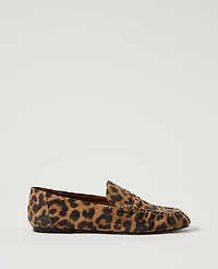 Ann Taylor Animal Print Suede Loafer Brown Multi Women's