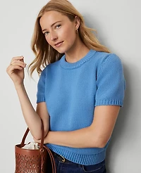 Ann Taylor Weekend Collection Chunky Wedge Sweater T-Shirt Songbird Blue Women's