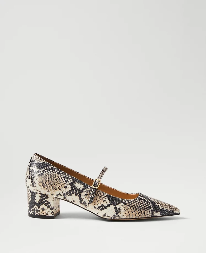 Ann Taylor Snake Print Pointy Toe Block Heel Pumps Black Women's