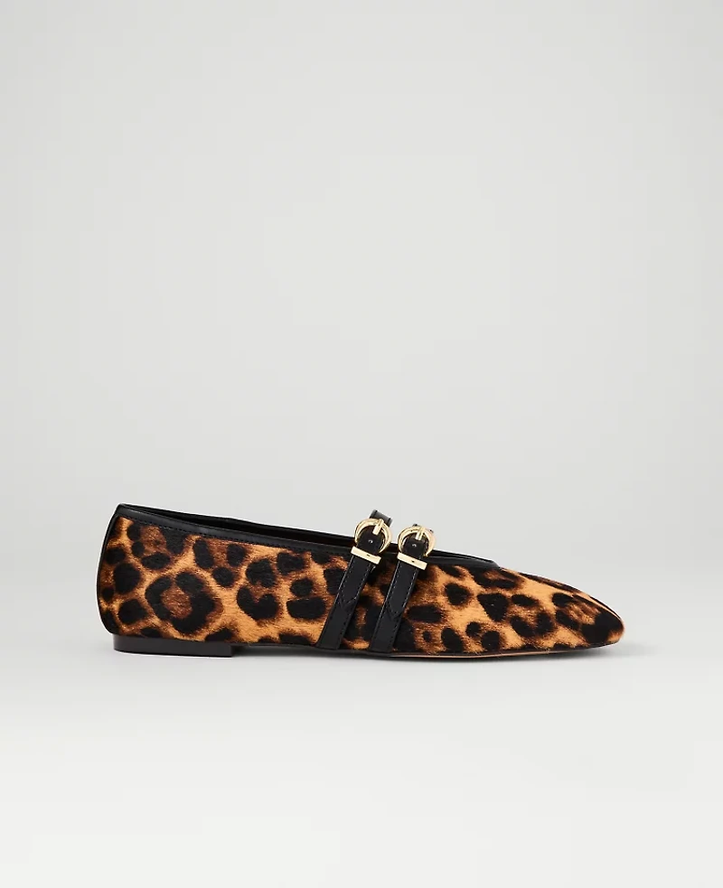 Ann Taylor Buckled Calf Hair Ballet Flat Brown Multi Women's