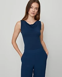 Ann Taylor Petite Draped Cowl Neck Top Size XS Moonlit Backdrop Women's