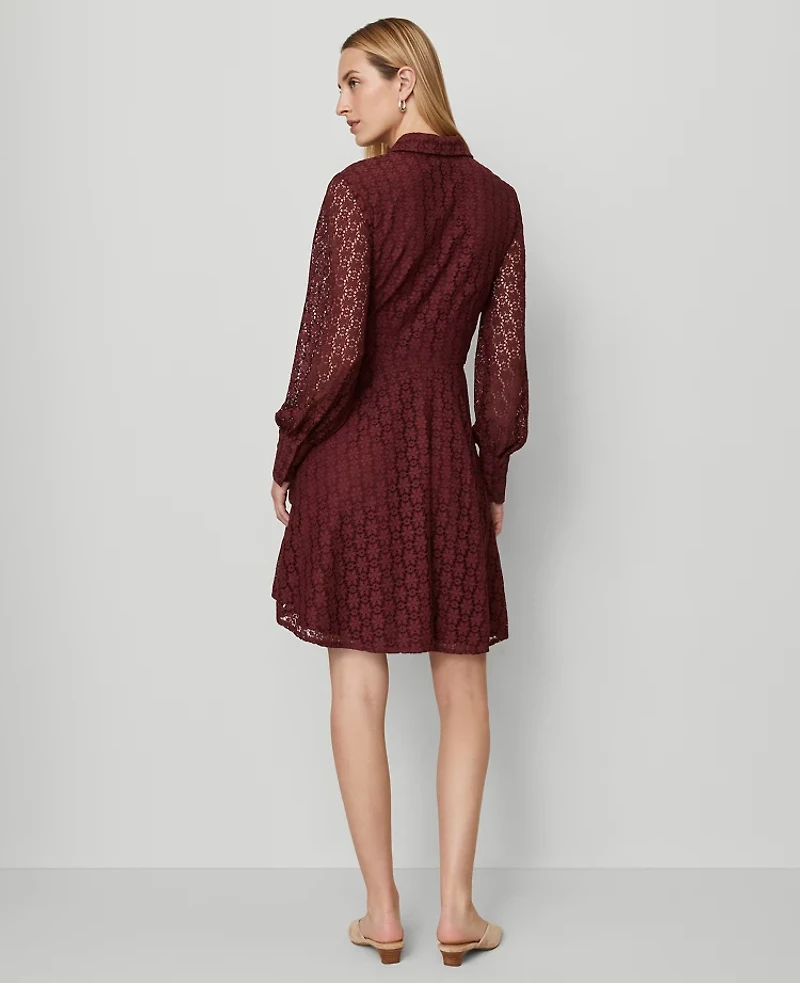 Ann Taylor Petite Lace Flare Shirtdress Windsor Wine Women's