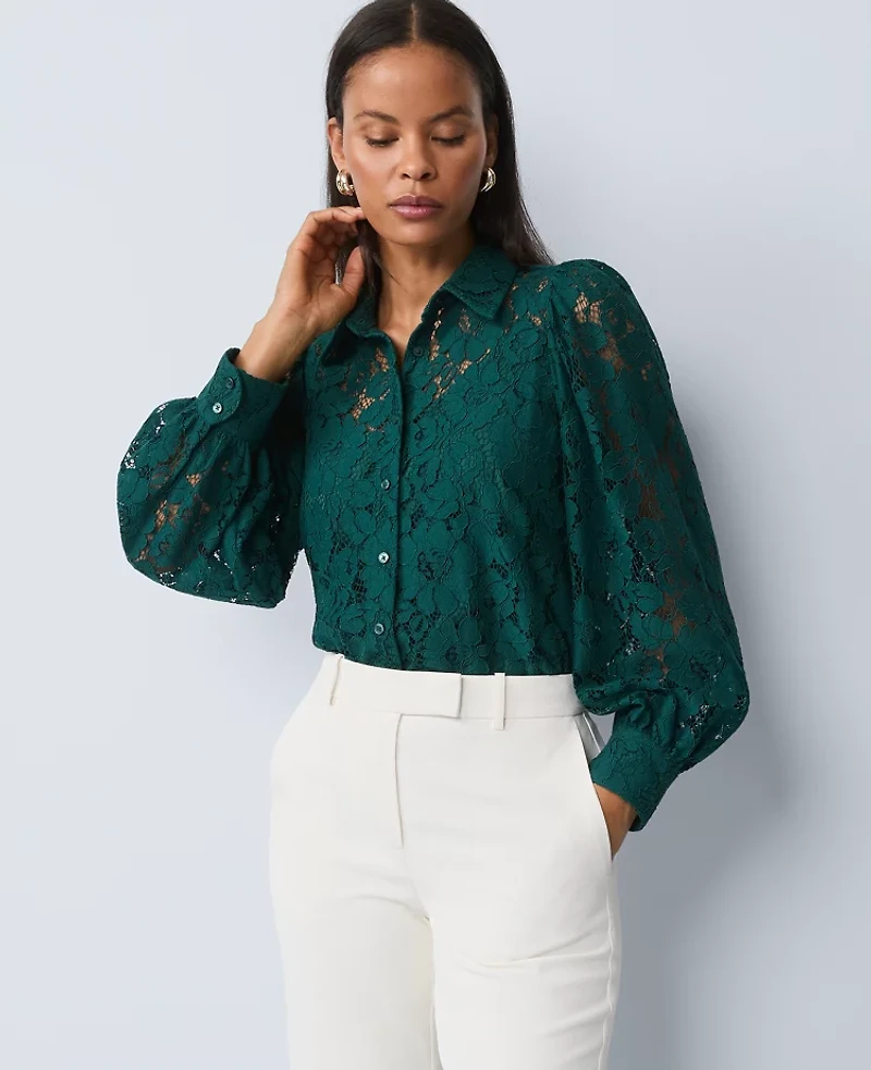 Ann Taylor Petite Lace Blouse Ponderosa Pine Women's