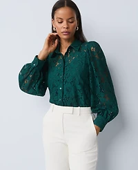 Ann Taylor Petite Lace Blouse Ponderosa Pine Women's