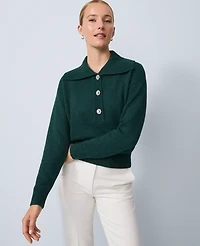 Ann Taylor Polo Sweater Women's