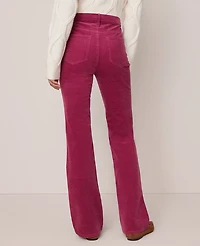 Ann Taylor The Boot Corduroy Pant Women's