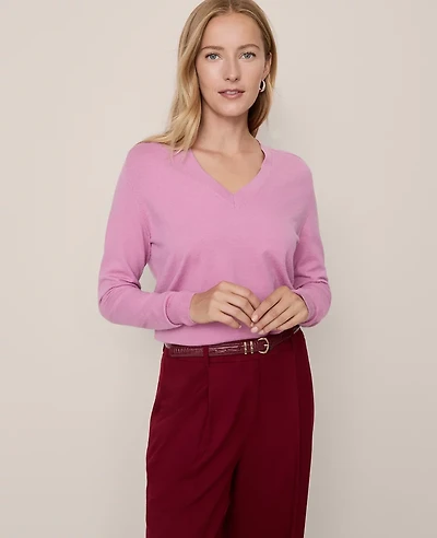 Ann Taylor V-Neck Sweater Women's